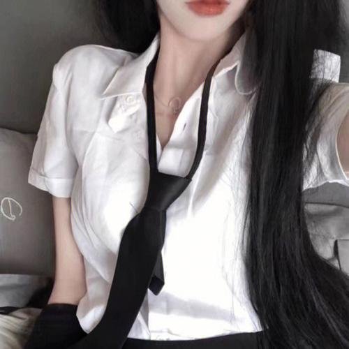 海龟故事